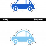 flash card3