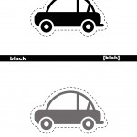 flash card5