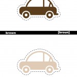 flash card6