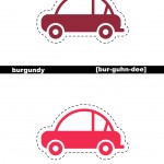 flash card7
