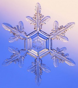 snowflake1