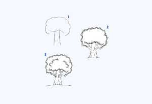 how to draw trees