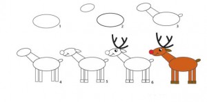 reindeer