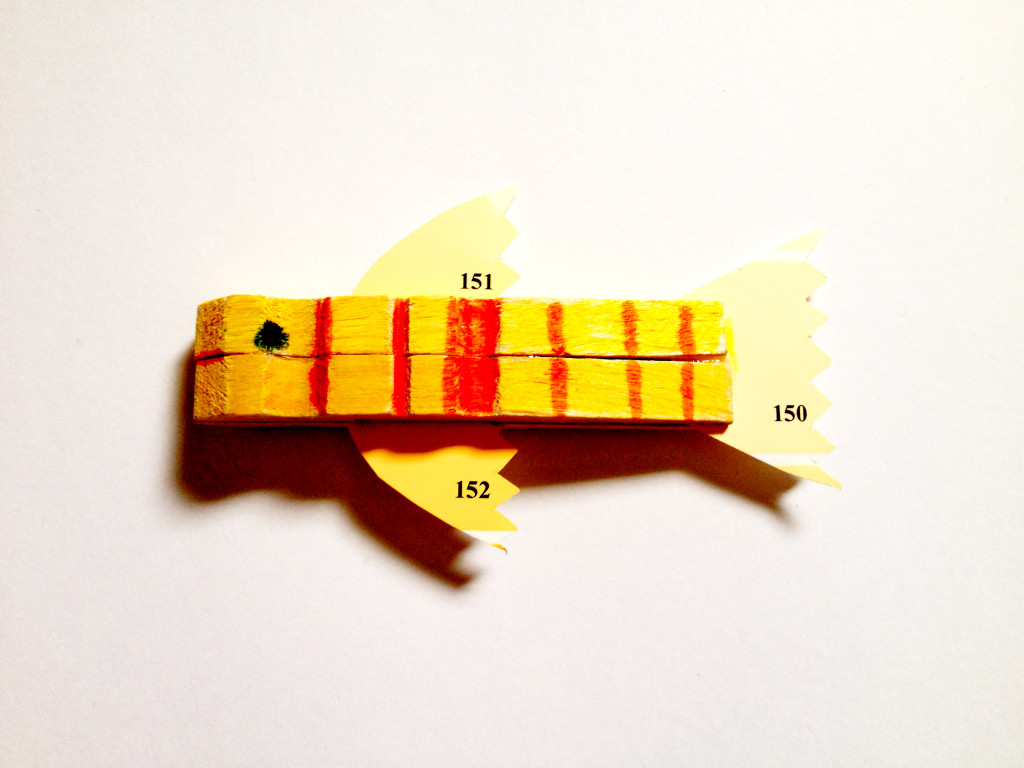 paint chip fish