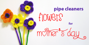 pipe cleaner flowers