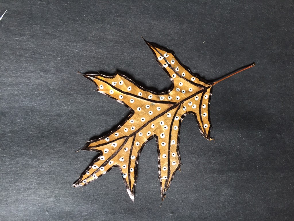 Painting on leaves