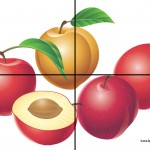 peaches puzzle 2